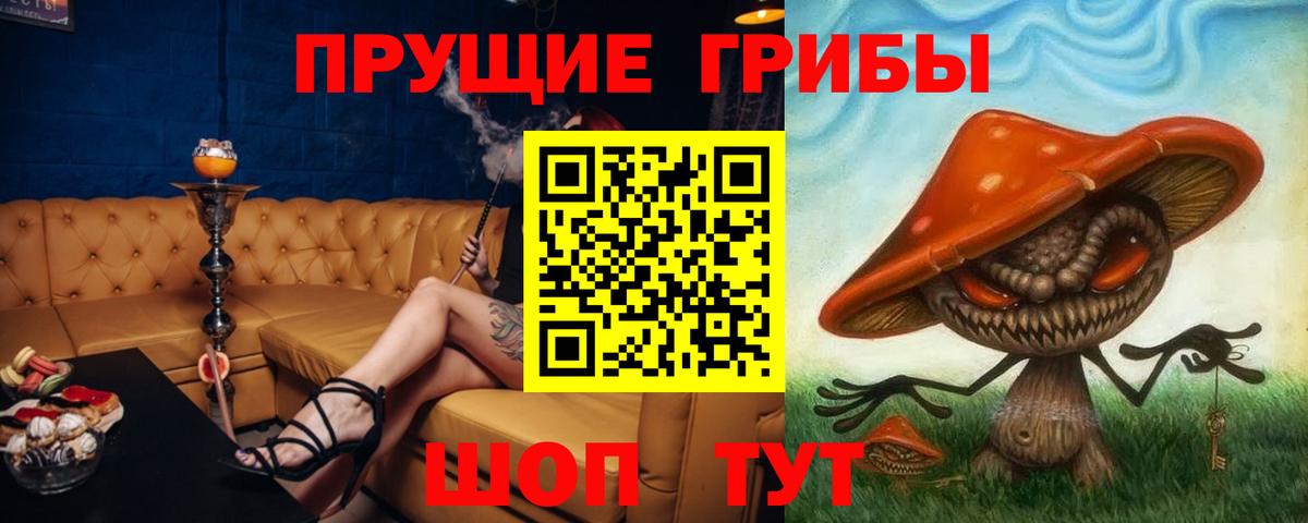 Псилоцибиновые грибы мицелий Шелехов